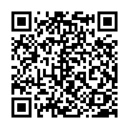 QR code for 210ICX