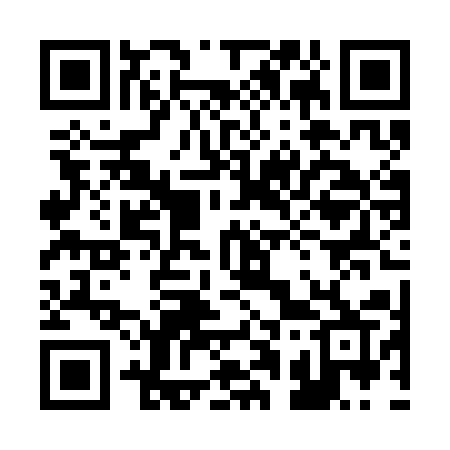 QR code for 210SAR