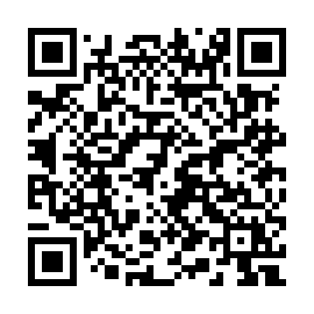QR code for 213MEX