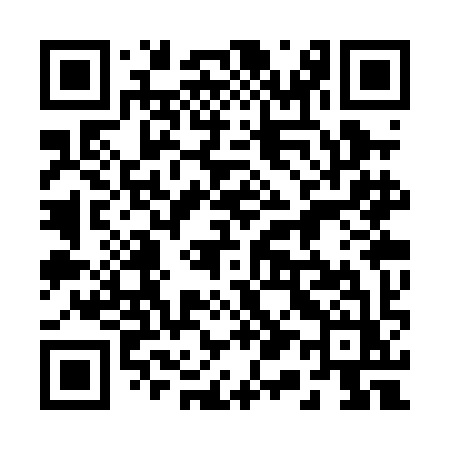 QR code for 213PIZ