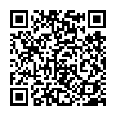 QR code for 216FSI