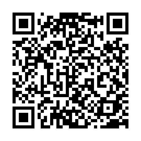 QR code for 216LPI