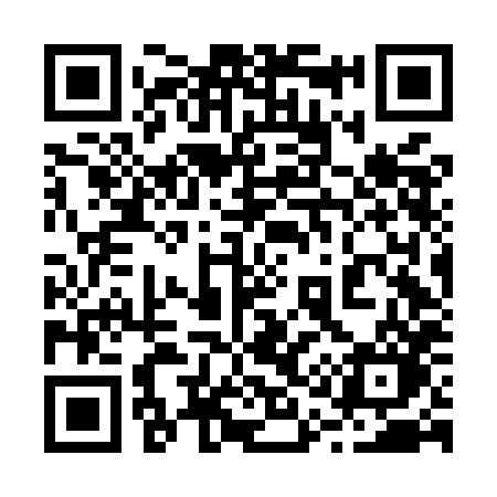 QR code for 216MHO
