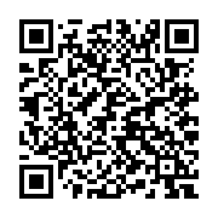 QR code for 216OFI