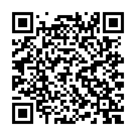 QR code for 216OGG