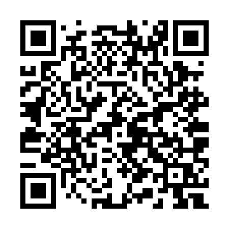 QR code for 216PMQ