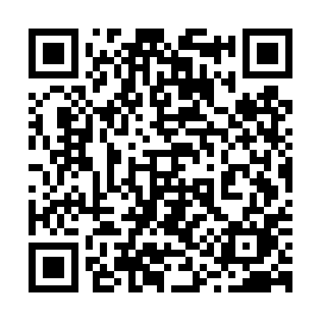 QR code for 217DPM