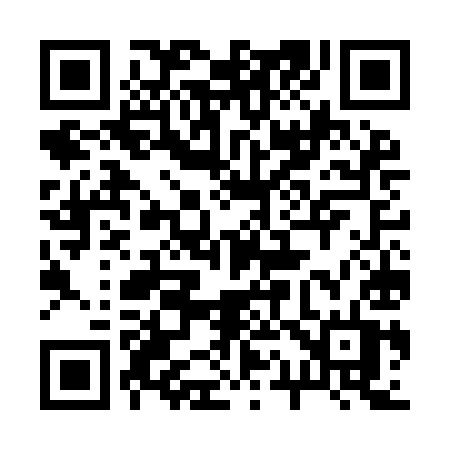 QR code for 217IIT