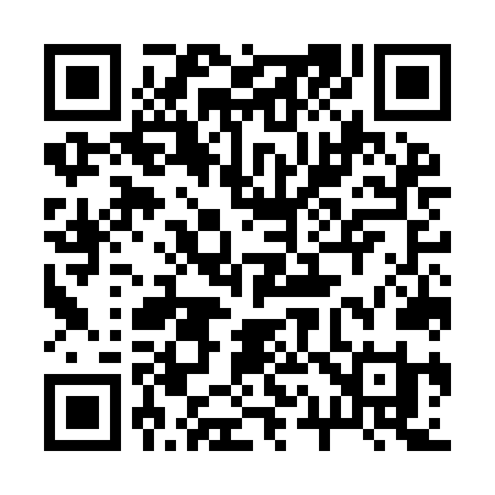 QR code for 217INI