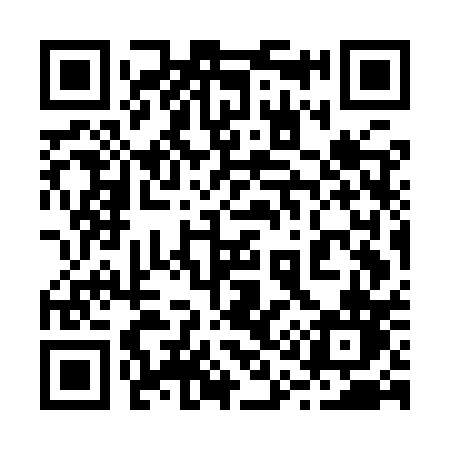 QR code for 217IPN