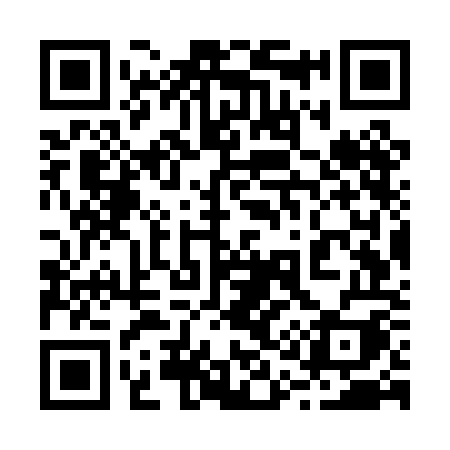 QR code for 217POI