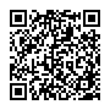 QR code for 217SDG
