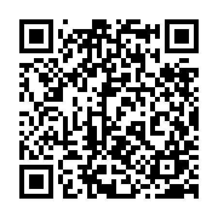 QR code for 217ZIW