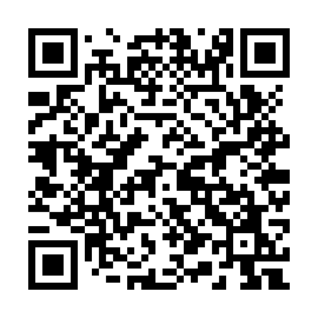 QR code for 217ZWO