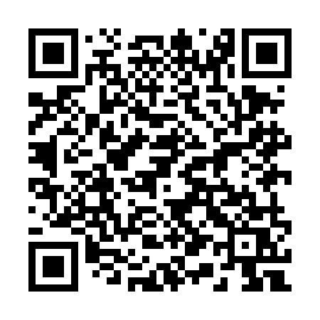 QR code for 219DMS