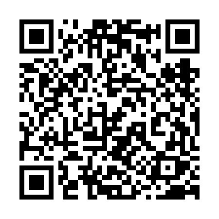 QR code for 219FFX