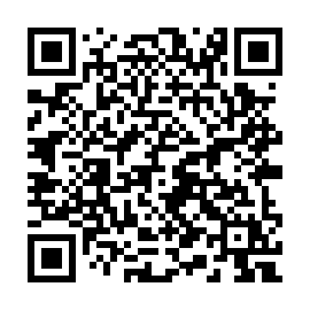 QR code for 219PYX