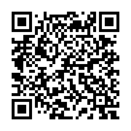 QR code for 220DHI