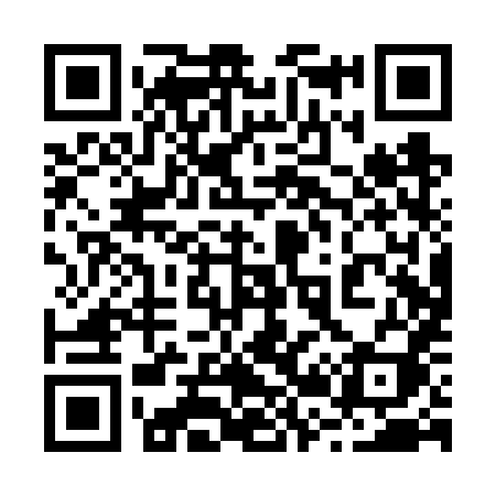 QR code for 220VXI