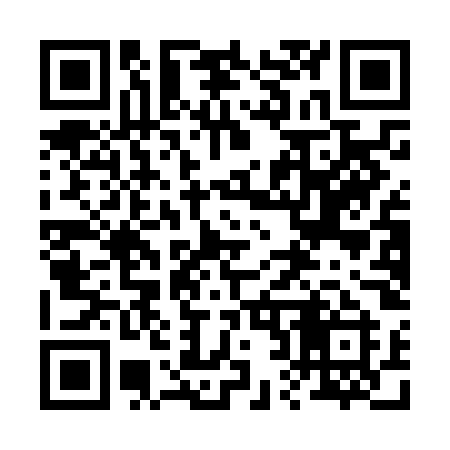 QR code for 221NOI