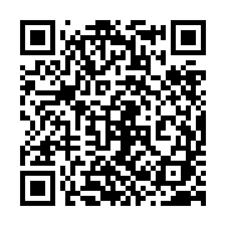 QR code for 221ZDI