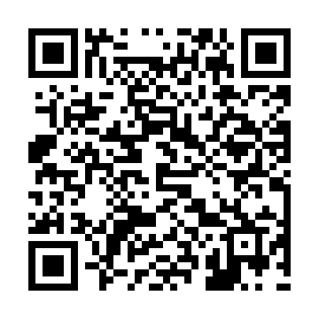 QR code for 222MIR