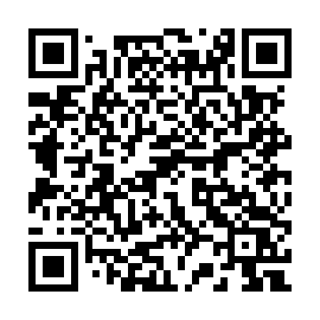 QR code for 223MTS