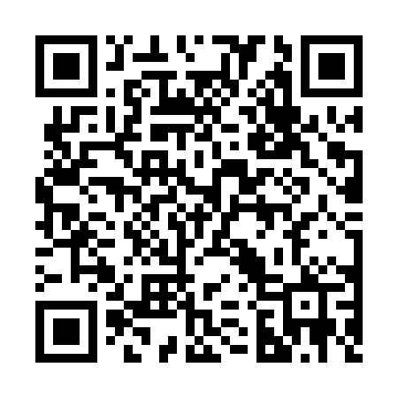QR code for 223PPP