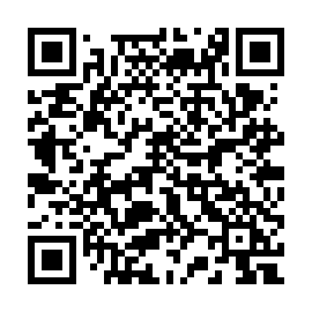QR code for 223VDI
