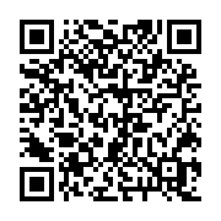 QR code for 225INF