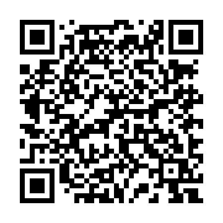 QR code for 225LIS