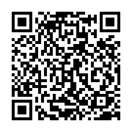 QR code for 225MCP