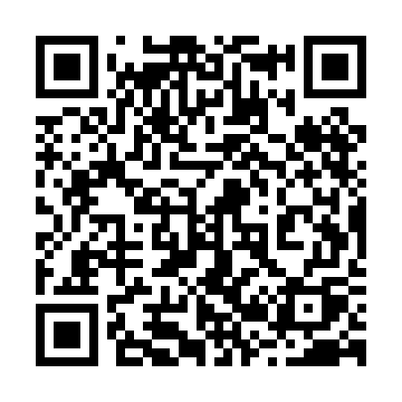 QR code for 225PGQ