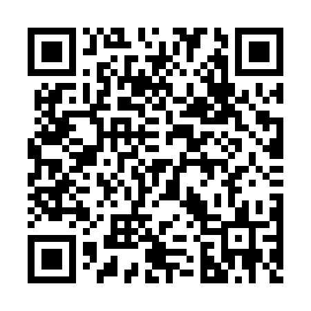 QR code for 225PSS