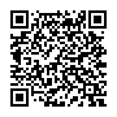 QR code for 225PWR