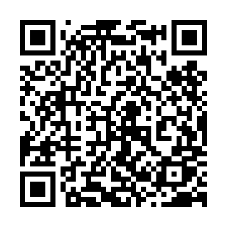 QR code for 225TMP