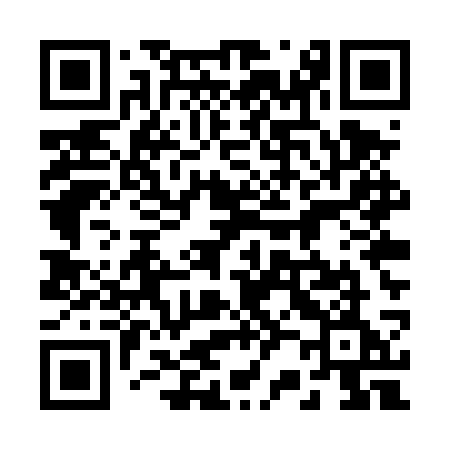 QR code for 225TSE