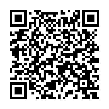 QR code for 225ZWO