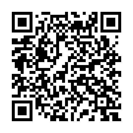 QR code for 228CTG