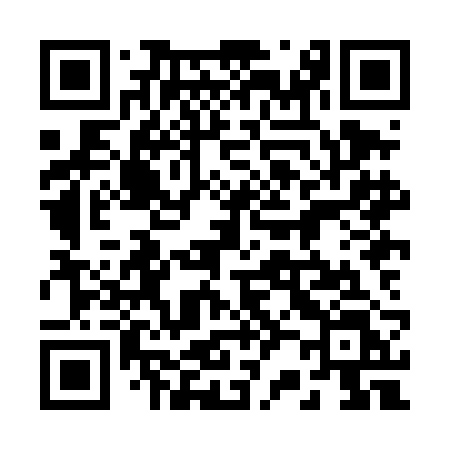 QR code for 228DBL