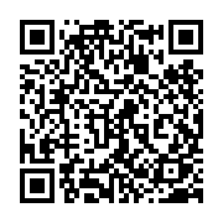 QR code for 228DIP