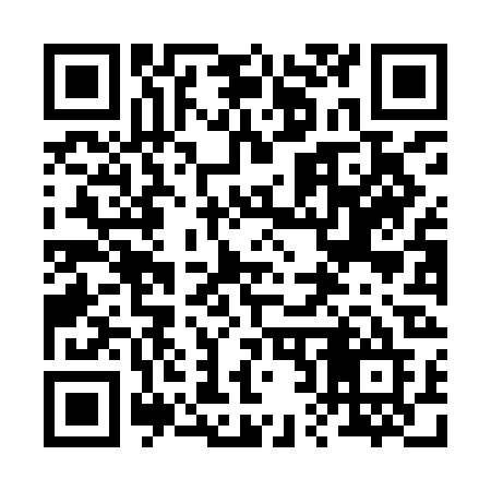 QR code for 228IBE