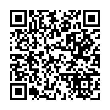 QR code for 228INO