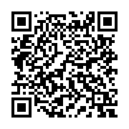 QR code for 228MSR