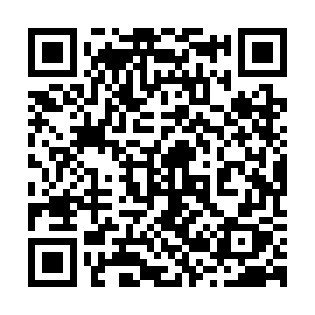 QR code for 228SGX