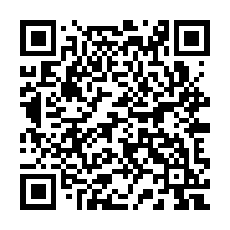 QR code for 228SYK