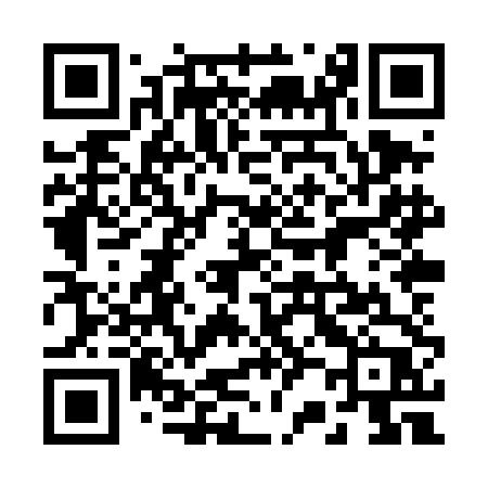 QR code for 228TDP