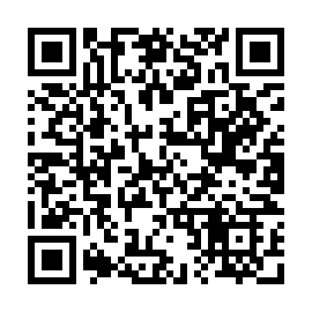 QR code for 229INK