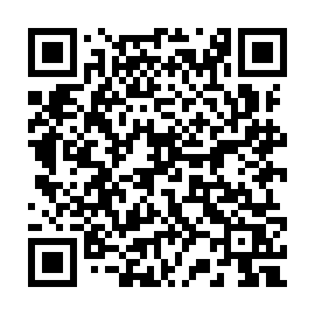 QR code for 229INR