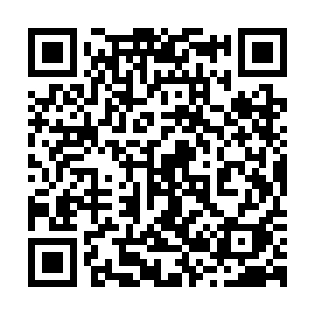 QR code for 229SAI